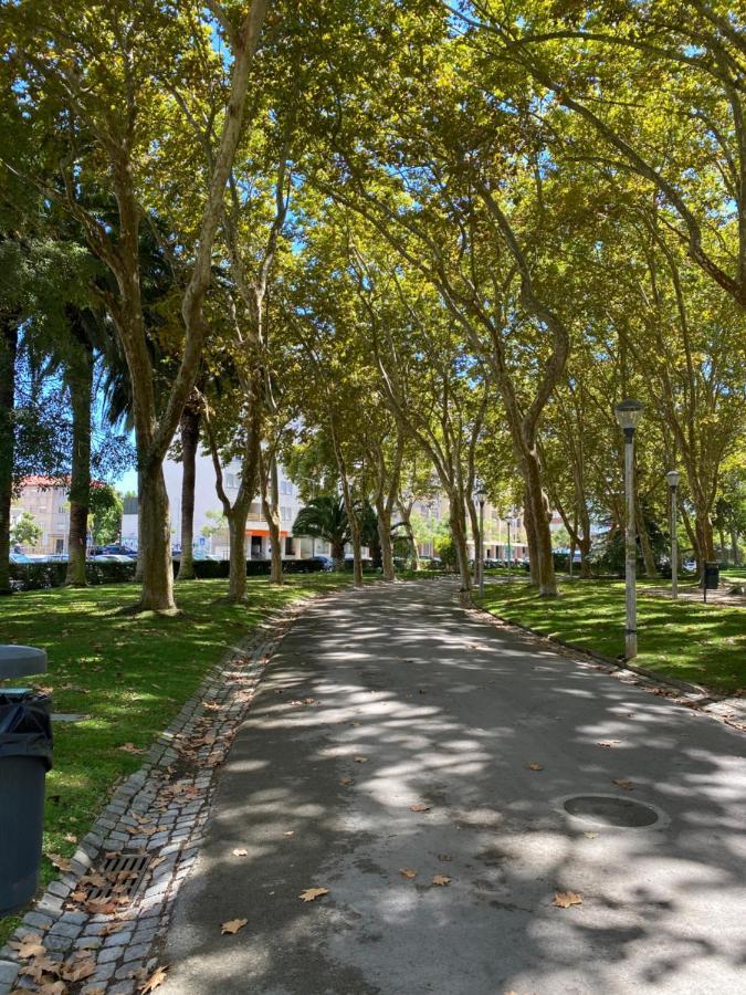 Park View Setubal. Apartamento Central Com Vista. Eksteriør billede